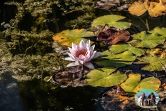 Borghetto_mincio_2022-27