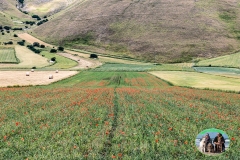 Castelluccio_2019-15