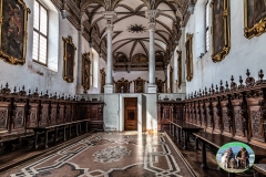 pavia_2020-13