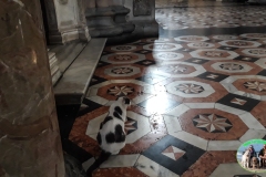 pavia_2020-25