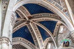 pavia_2020-5