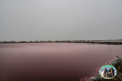 Romagna_2022-228