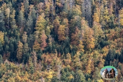 Creaux_van_2019-7