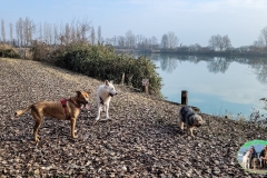 Romagna_2022-33