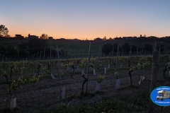 Monferrato_2025-4