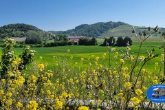 Monferrato_2025-7