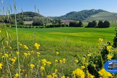 Monferrato_2025-8