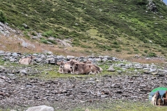 Montespluga_2022-3