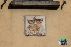 Omegna_2023-13