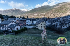 1_ossola_2018-1