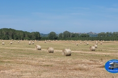 Riotorto_2025-87