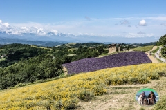 Sale_sangiovanni_2023-8