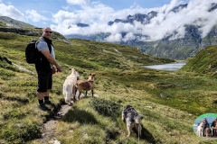 Svizzera_austria-4