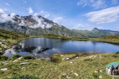 Svizzera_austria-5